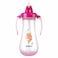 Pigeon Straw Bottle 300Ml Pink