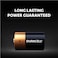 Duracell D2 Monet Duracell Type D Batteries, Pack of 2
