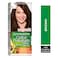 Garnier Color Naturals Cr&egrave;me Nourishing Permanent Hair Color, 74, Brown