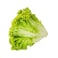 Lettuce Lollo Bionda Pack