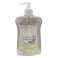 Carrefour Pure Moisturizing Hand Wash 500Ml