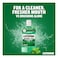 Listerine Green Tea Mouthwash 500ml