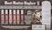 The Balm Lip Stick Liquid Long Lasting Set Of 6 Colour, Pack Of 1