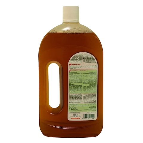 Carrefour Antiseptic Disinfectant Liquid 750ml