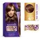 Wella Koleston Kit Root Touch Up Hair Color 6-7 Chocolate