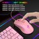 61keys wired luminous keyboard set luminous gaming mouse office game keybaord spot (Pink)