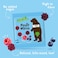 Bear Paws Pure Fruit Snacks, Raspberry and Blueberry, 20g