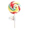 Candyfox Flower Lollipop 30g