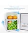 Generic Mini Car Refrigerator 4 L Jd0022 White