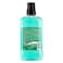 Carrefour Soft Mouthwash Protection 500ml