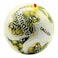 Connate Footbal Galop Pvc 1 F731N14