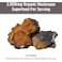 OM Chaga Organic Mushroom Powder Dietary Supplement 100g