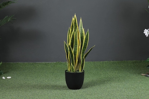 PAN Home Sansevieria Potted Plant Green/Yellow H66cm