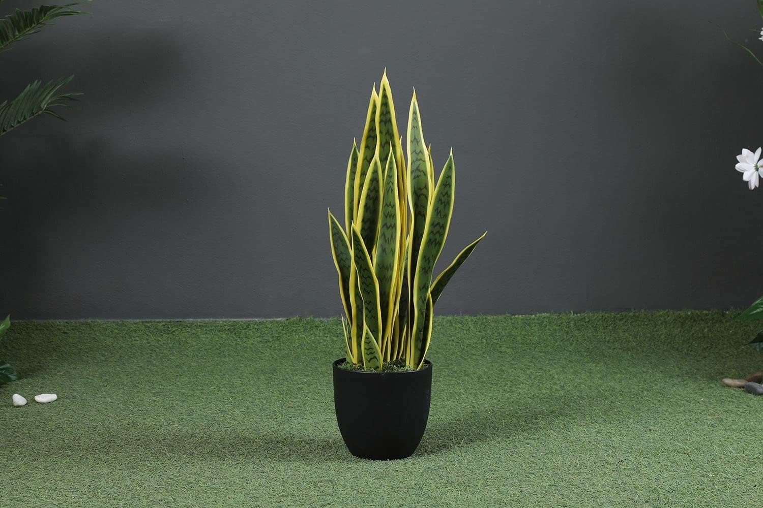 PAN Home Sansevieria Potted Plant Green/Yellow H66cm