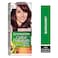 Garnier Color Naturals Cr&egrave;me Nourishing Permanent Hair Color, 4.6, Burgundy