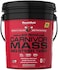 Musclemeds Carnivor Mass Chocolate Big Steer 1250 Bucket, 15 Lb