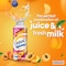 Danao Peach And Apricot Juice Drink With Milk 180ml Pack of 6