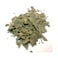 Ginkgo Herbs