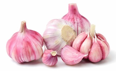 ثوم أحمر بلدي