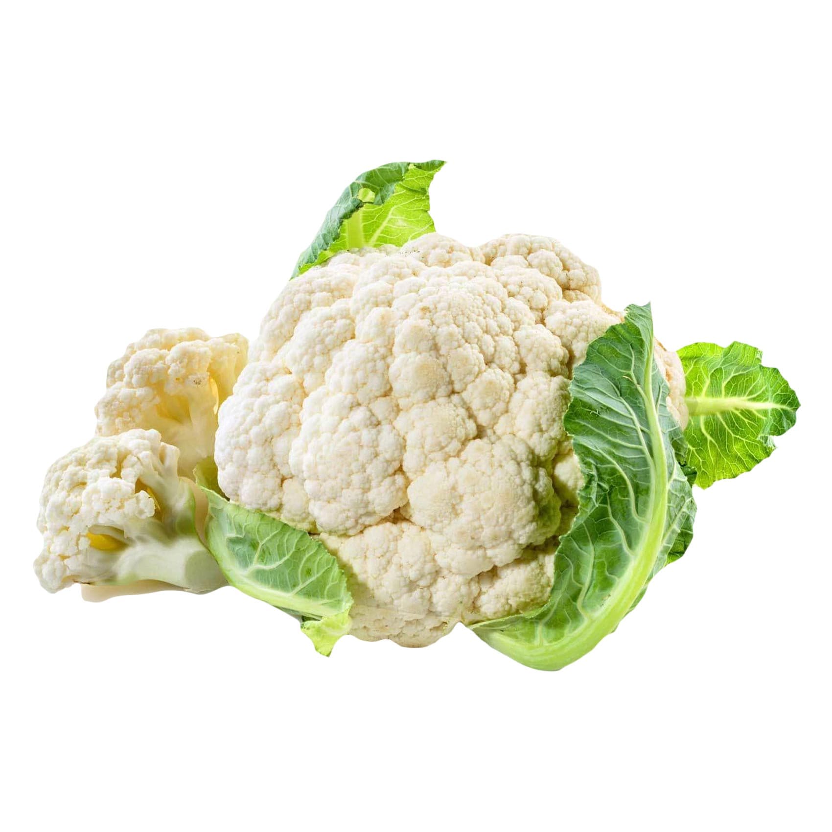 زهرة طازجة