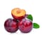 Imported Red Plum