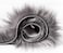 Generic Ashler Home Deco Ultra Soft Fluffy Area Rug Faux Fur Sheepskin Carpet Chair Couch Cover For Bedroom Floor Sofa Living Room, Grey 2 X 6 Feet