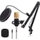 Professional  Condensor Podcast Microphone Black