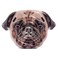 Intex - Pug Face Island