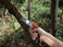 ABBASALI Professional Double Cut Curved Pruning Saw - 270mm