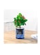 vsell24&nbsp;High Durability Blue Good Morning Pots for Home or Office Decoration With Hydroponic System - Brighten Your Environment with Automatic Water Absorption (12cm x 10cm)