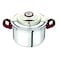 Tefal Clipso+ Precision Cooker Silver 10L