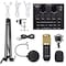 Condensor Micropone Set For Live Broadcast With 9 Piece Of Sound Card