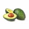 Avocado Hass