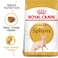 Feline Breed Nutrition Sphynx 2 KG