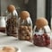 Glass Closed Terrarium Jars with Airtight Wood Lid (Ball Cork)   Set of 3