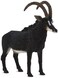Animal Planet Mojo Fun 387145 Giant Sable Antelope - Realistic International Wildlife Toy Replica