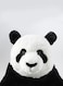 Beauenty Djungelskog Panda Design Squishy Toy 30cm