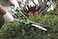 Trapp Brazil Professional Heavy Duty Hedge Shear, Garden Scissors for Trimming Bushes, Boxwood, and Borders, Manual Hedge Clippers