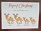 Packs of 10 Camel with Santa hats