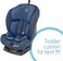 Maxi Cosi Titan Toddler/Child Car Seat Group 1-2-3, Convertible Multi-Stage Forward Facing, Reclining Isofix Car Seat, 9 Months - 12 Years, Basic Blue