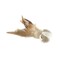 Pets Love Earth Natural Jute Fabric Cat Toy Beige/White