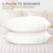 Hotel Linen Klub Deyarco Glofresh Anti Microbial Quilted Pillow 1 PC - 160TC 100% Cotton - White Size: 50 x 75cm - 700 grams Soft Fiber Filling