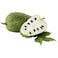 Sour Sop