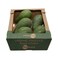 Biomass organic avocado 1 Kg