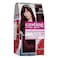 L'Oreal Paris Casting Creme Gloss Hair Color - 360 Dark Red