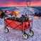 Folding Camping Cart Wagon - 4 Wheel Collapsible Beach Trolley, Portable Garden Camping Picnic &amp; DIY Waste Wagon Adjustable Rotary Handle - BLACK - RED - BLUE - GREEN (RED)