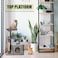 Cat tree House &amp; Scratching Post for Multiple Cats, Natural Scratching, Cat Play &amp; Rest, Cozy Cat Scratching, Cat Condo, Grey Color, 80cm height