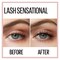 Maybelline New York Lash Sensational Washable Mascara - Intense Black