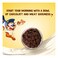 Kellogg's Coco Pops Fills Crunchy Chocolate Pillows with Milk Cream Bar, 350g