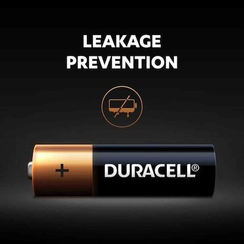 Duracell Type AA Alkaline Batteries Gold 12 count